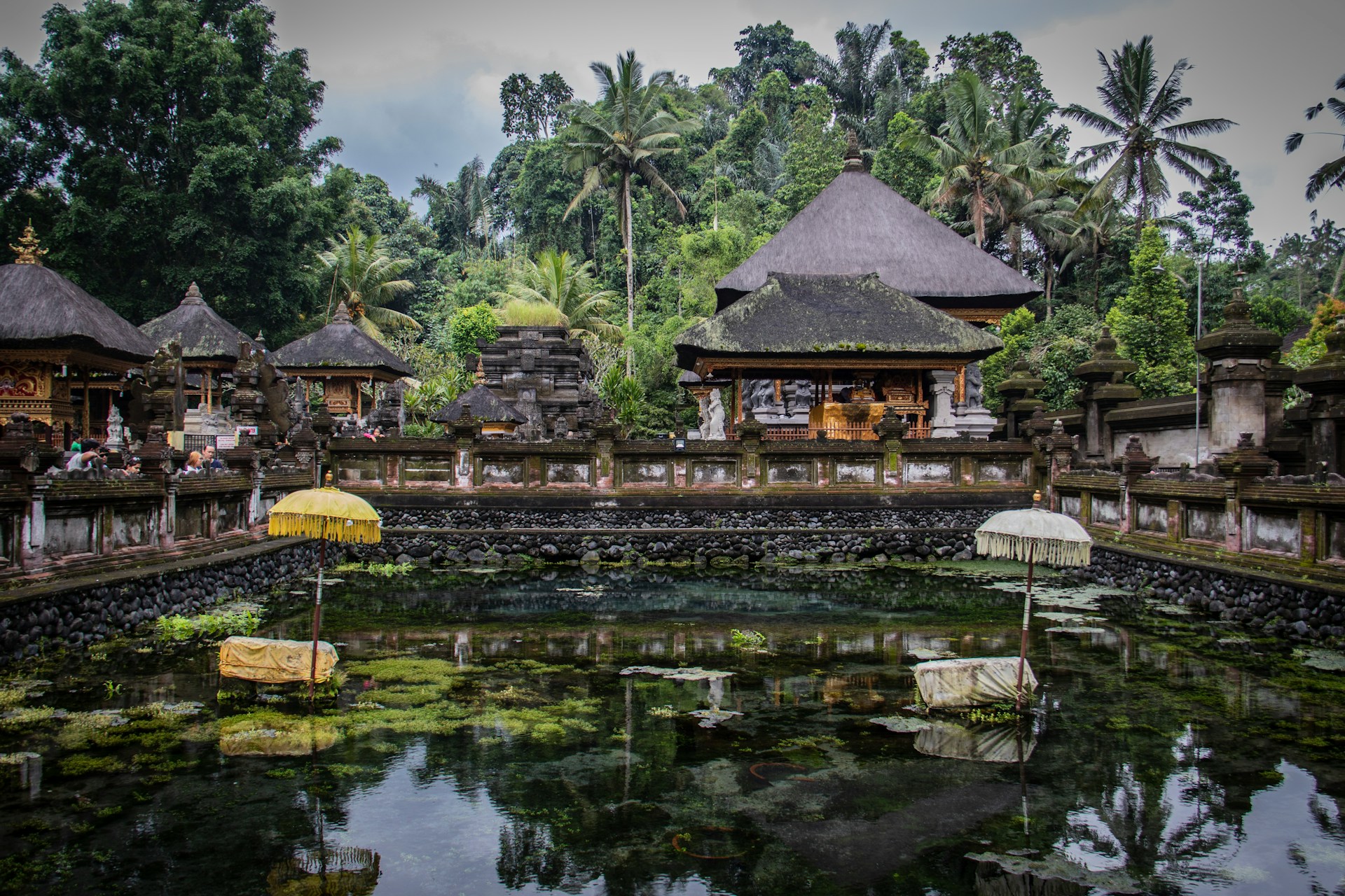 Ubud Tour